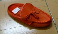 25yn610 newcolor.jpg